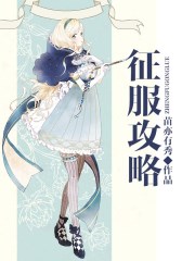 征服攻略