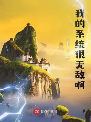 我的系统很无敌啊