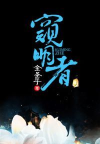 窥明者