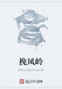 挽风岭