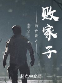 四合院之败家子