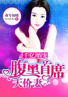 千亿婚宠：腹黑首席天价妻