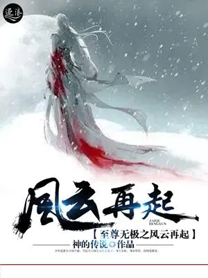 至尊无极之风云再起