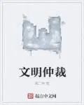文明仲裁