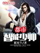 都市智能少帅