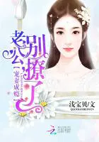 宠妻狂魔：总裁老公别撩我