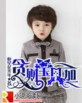 男主角叫夏流女主角叫叶倾城的小说