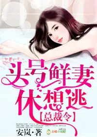 男主角叫夏流
