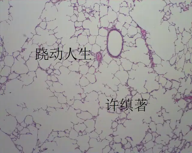 年小慕余越寒