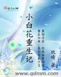 苏尘林岚欣都市超级医仙