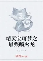 精灵宝可梦之最强喷火龙