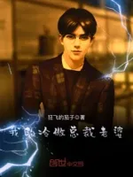 我的冷傲总裁老婆