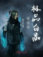 校花的极品白痴