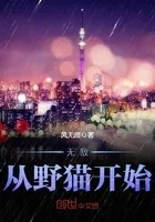 无敌从野猫开始