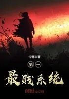 第一最贱系统