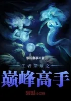 王者荣耀之巅峰高手