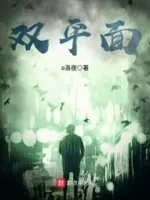 双平面