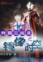 特摄见闻录之镜像时空