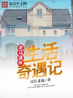 老马退休生活奇遇记
