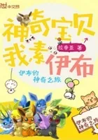 神奇宝贝我素伊布
