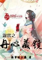 霹雳之丹心藏镜