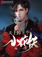 天上掉下个小花妖
