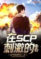 在SCP刺激的日子